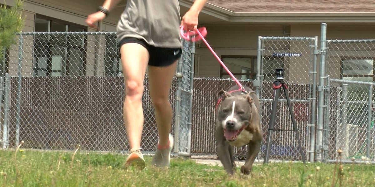 Going the extra mile: Grandma’s Marathon runners raise money for non-profit partners