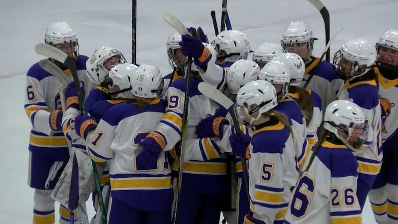Cloquet/Esko/Carlton Lumberjacks Girls Hockey