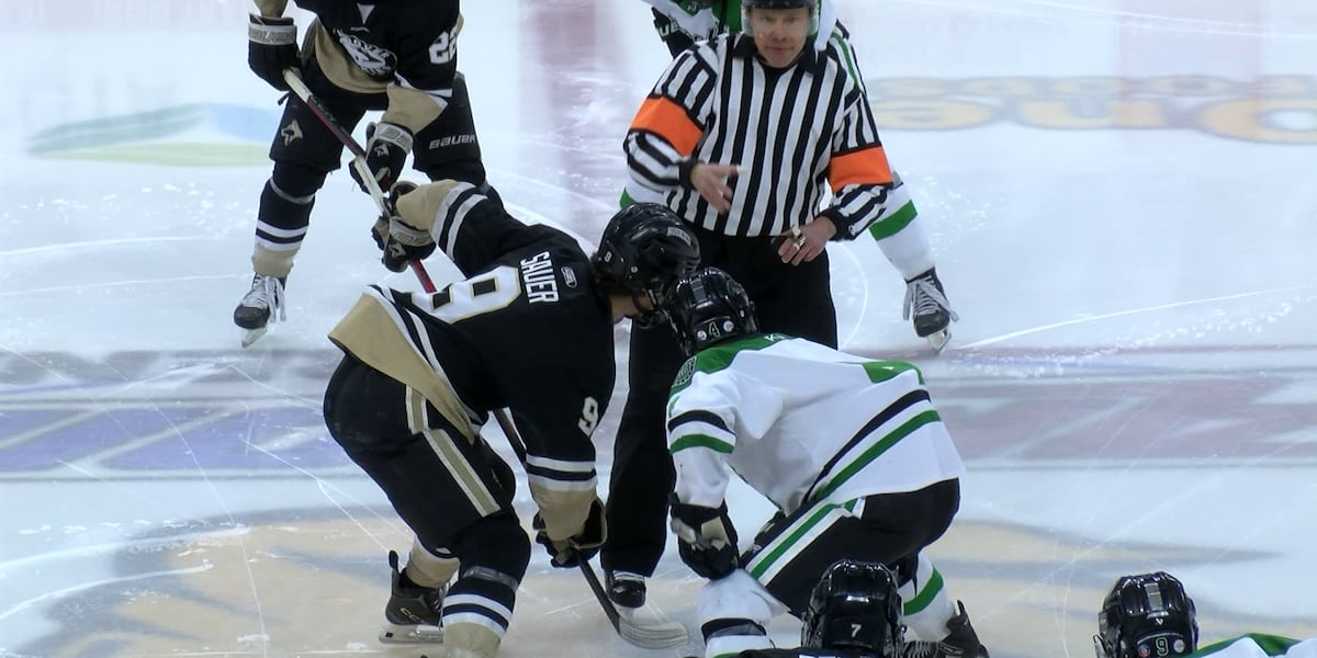 Prep Hockey: Rock Ridge Wolverines fall 3-1 to Andover in Section 7AA ...