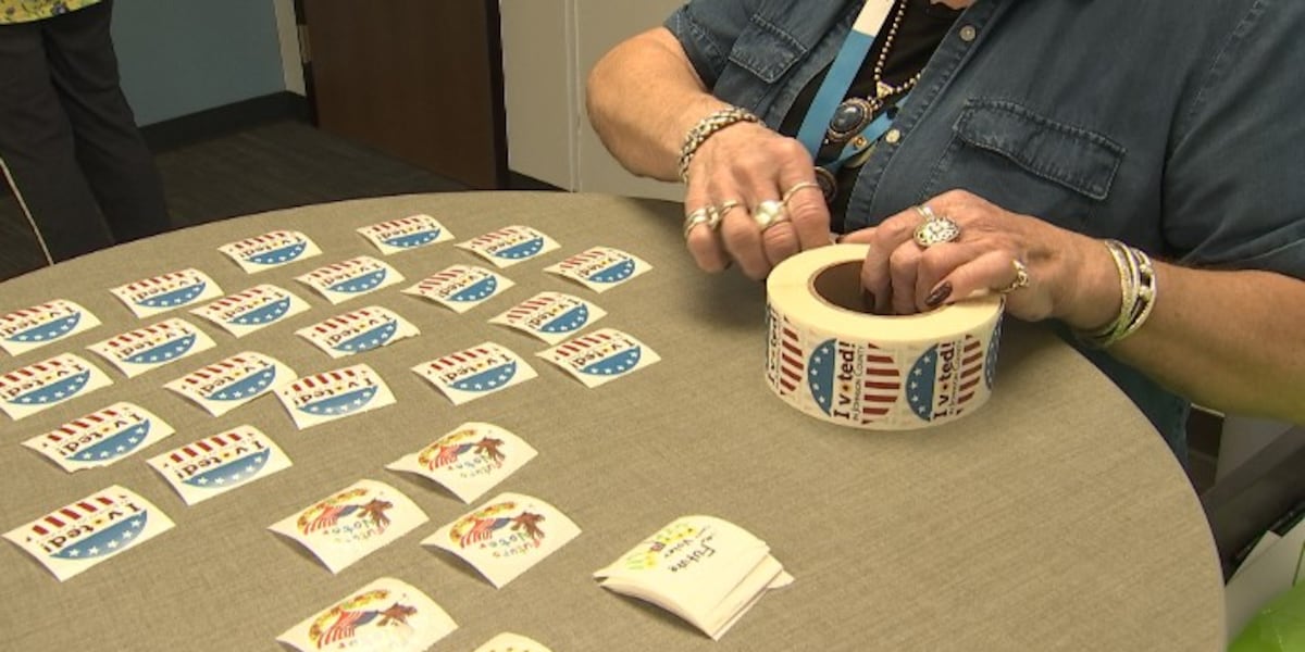Minnesota election judge charged with 2 felonies for allegedly letting