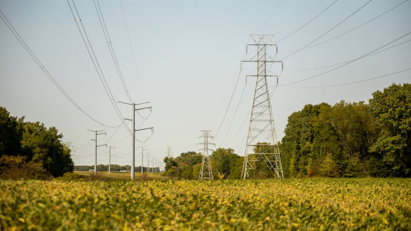 Transmission lines are pictured in central Illinois. (Capitol News Illinois photo by Andrew...