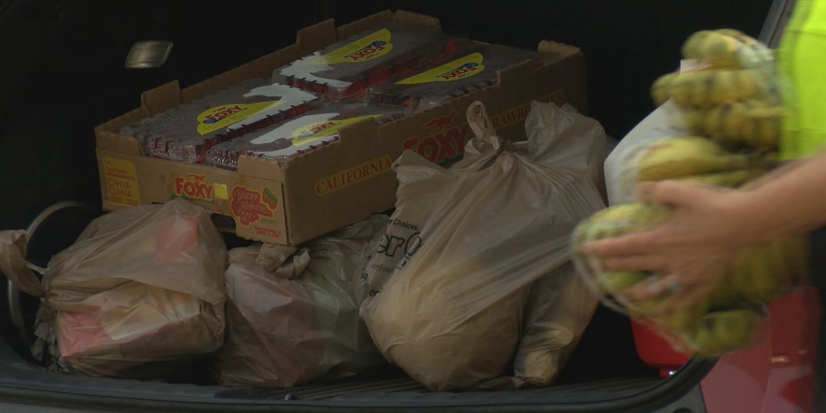 Northland sees higher demand for food shelves as resources decline