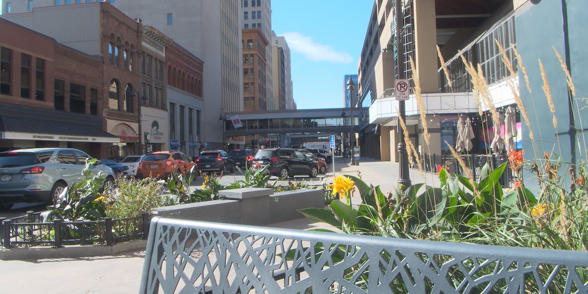 Volunteers needed for Downtown Duluth flower planting