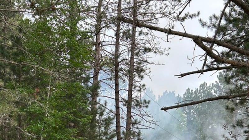 Fire destroys garage in Waasa Township