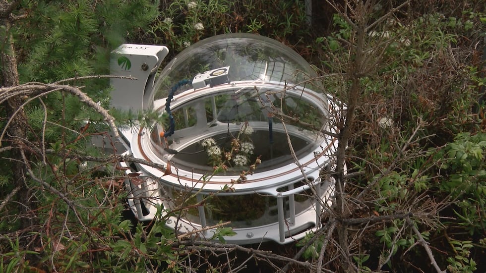 Grand Rapids researchers use biodomes to study climate change impact