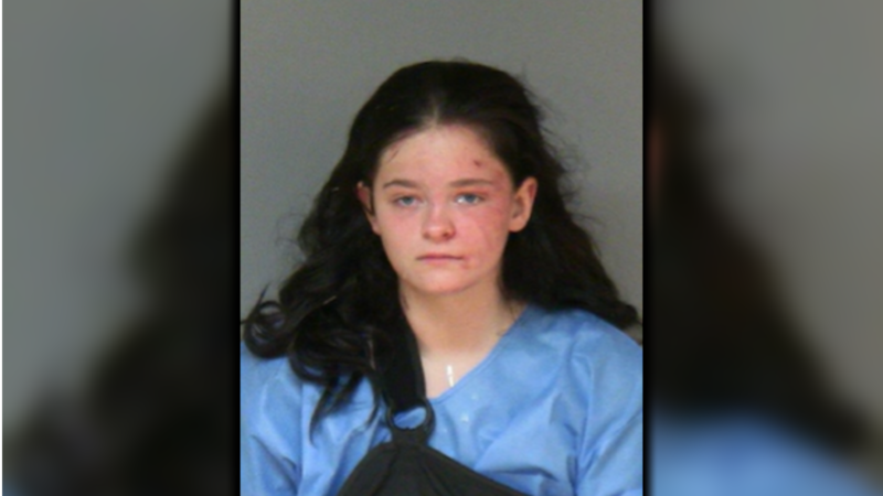 Madylin Blonigen is charged with three felony counts of knowingly operating a motor vehicle...