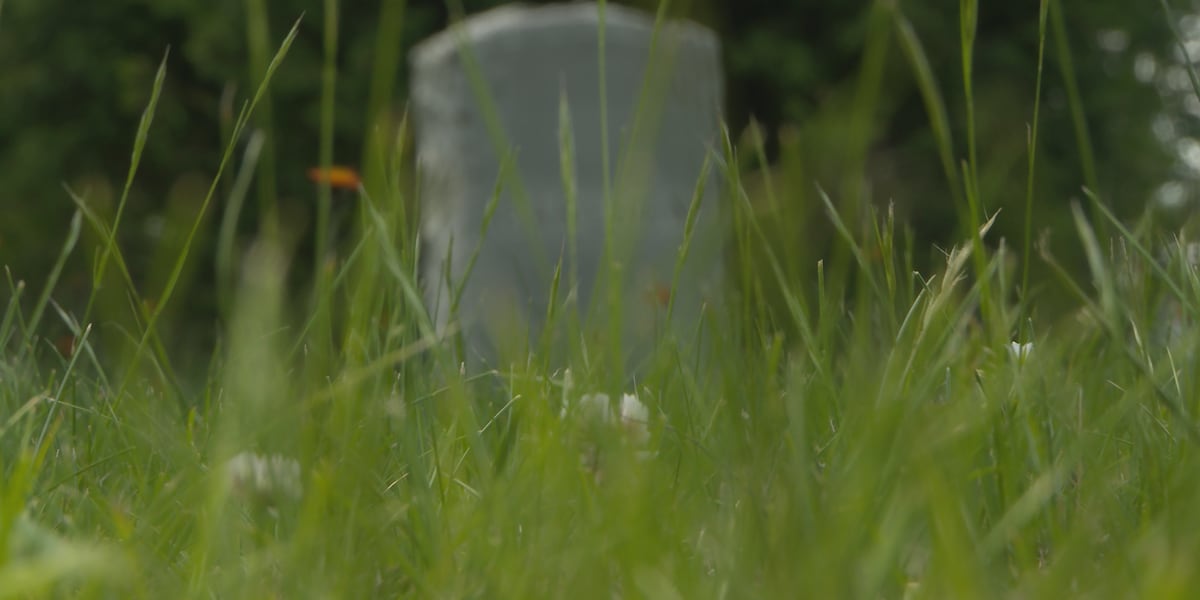 Human composting legalized in Minnesota
