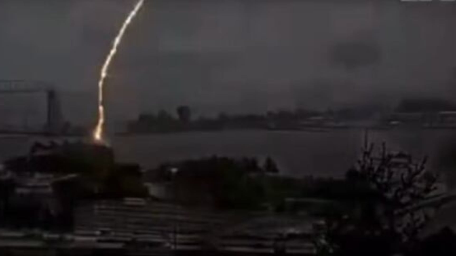 Lightning Strikes Minnesota Aquarium Sparks Uncanny Eel Behavior